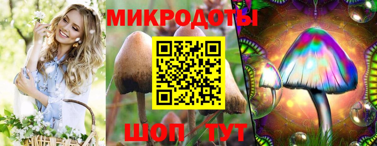 Галлюциногенные грибы прущие грибы Зеленодольск