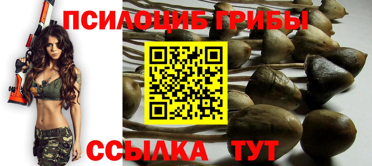 Зеленодольск  Псилоцибиновые грибы MAGIC MUSHROOMS  Вход с VPN 